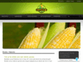 cornincup.net