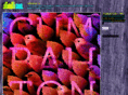 delaurean.com
