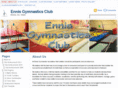 ennisgymnasticsclub.com