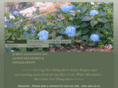 juriusassociates.com