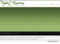 perfectenvision.com
