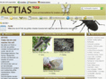 actias.de