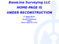 baselinesurvey.com