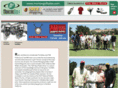 golfguysonline.com
