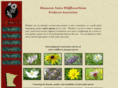 mnnwgpa.org