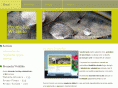 promo-ro.info