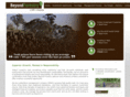 beyondforestry.com