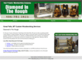 diamondintheroughmt.com