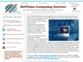 netvisioncomputing.com