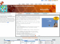 itconsesolutions.com