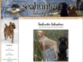 seahunterlabrador.com