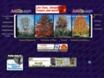 tahoecitynews.com