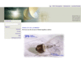 classici-moderni.com