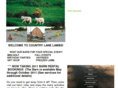 countrylanelambs.com