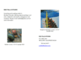 suefalls.com