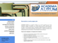 academia-aurum.com
