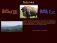 buffalojunction.com