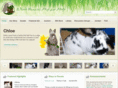 bunniesinneed.net