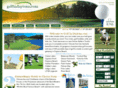 golfindaytona.com