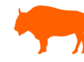 bisonparty.com