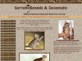 serranobengals.com