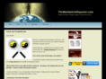 themartialartsreporter.com