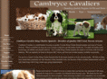 cambryce.com