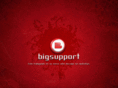 bigsupport.com.ar