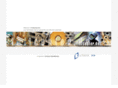 foilcenter.com