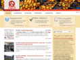 fondationaddax.net