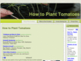 howtoplanttomatoes.com