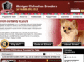 michiganchihuahuabreeders.com