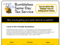 bumblebeesameday.com