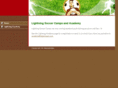 lightningsc.com