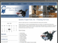 quality-carpet-care.com