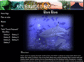 scubavideo.biz