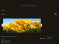 woodworkerssurplus.com