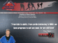 bjohnsonkarate.com