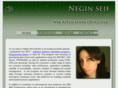 neginnet.com