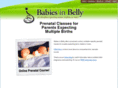 babiesinbelly.com