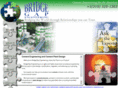 bridgegapengineering.com