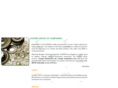 cooperindia.com