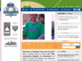 ballparkfansandfriends.com