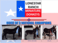 lonestardonkey.com