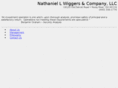 nlwandco.com