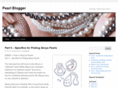 pearlblogger.com