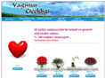 yagmurcicekligi.com