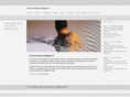 zenheart.com