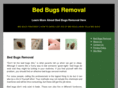 bedbugsremoval.org