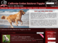 californiagoldenretrieverpuppies.com